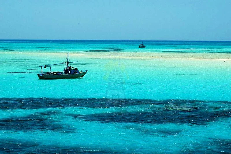 Snorkeling à Ras Mohamed